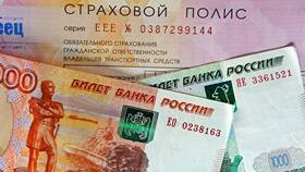 Чем грозит езда без страховки ОСАГО в Карло Пазолини