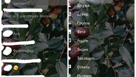 Что дает Kate Mobile в Карло Пазолини