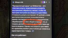 Что означает приоритетный заказ на Wildberries в Карло Пазолини