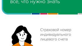 Что означает страховой номер индивидуального лицевого счета (СНИЛС)? в Карло Пазолини