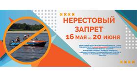 Что разрешено и запрещено в Астраханской области в Карло Пазолини