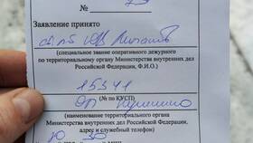 Что такое Альфа-чек в Карло Пазолини