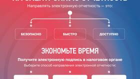 Как изменить данные в налоговой декларации в Карло Пазолини