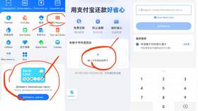 Как оплатить заказ на AliExpress картой МИР в Карло Пазолини