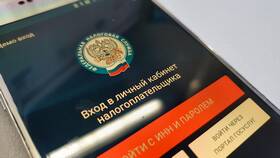 Как по ИНН проверить недвижимость в Карло Пазолини