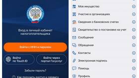 Как получить доступ в личный кабинет Госуслуг в Карло Пазолини