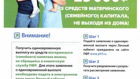 Как получить справку ПФР через портал Госуслуги в Карло Пазолини
