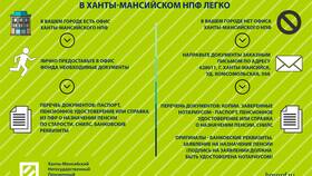 Как получить выписку о пенсии в Карло Пазолини
