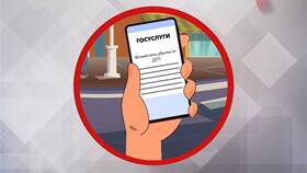 Как продлить страховку на Госуслугах в Карло Пазолини