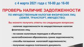 Как проверить наличие налоговой задолженности в Карло Пазолини