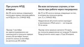 Как самозанятым оформлять выплаты вместо зарплаты в Карло Пазолини