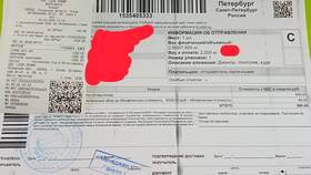 Как СДЭК доставляет грузы: транспортные средства и логистика в Карло Пазолини