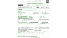Как выглядит страховой полис на автомобиль в Карло Пазолини