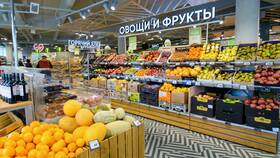 Количество магазинов Пятерочка в Старом Осколе в Карло Пазолини