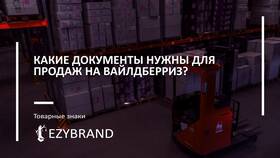 Почему не получается сделать заказ на Wildberries в Карло Пазолини