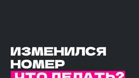 Почему не привязывается почта к Госуслугам в Карло Пазолини