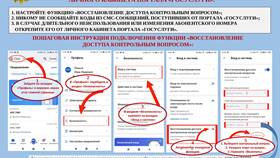 Почему пароль от Госуслуг не подходит в Карло Пазолини