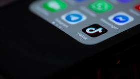 Почему в TikTok удаляются подписки в Карло Пазолини
