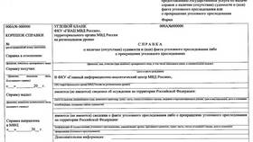 Сроки получения справки о судимости через Госуслуги в Карло Пазолини