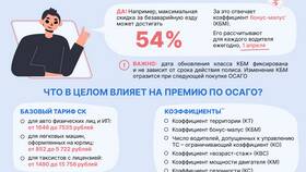 СУММЫ: что это за организация? в Карло Пазолини