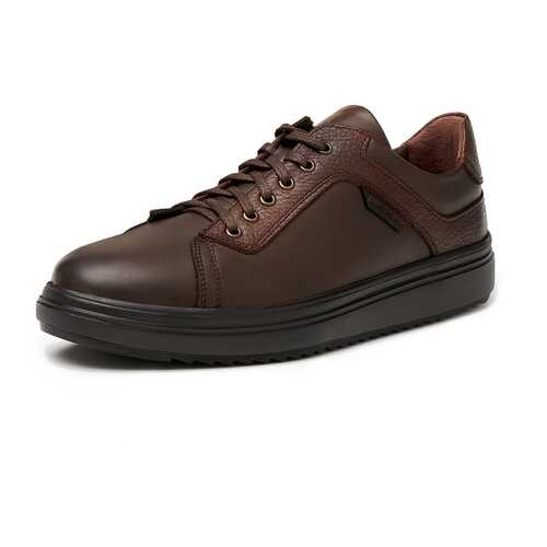 Кеды мужские Pierre Cardin TR-LR-992 коричневые 44 RU в Карло Пазолини