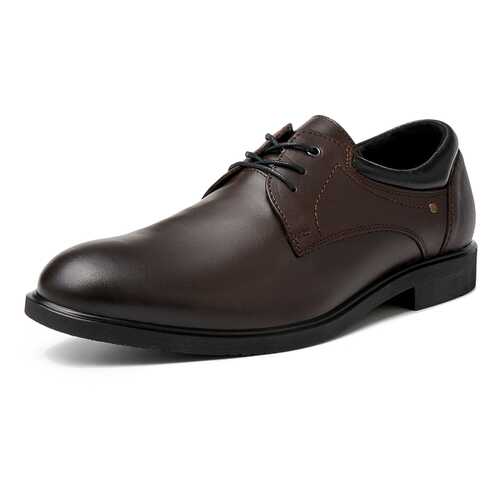 Туфли мужские Alessio Nesca M6208025 коричневые 40 RU в Карло Пазолини