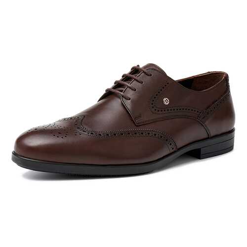 Туфли мужские Pierre Cardin 03407020 коричневые 43 RU в Карло Пазолини